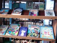 Бурлинская библиотека