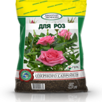 Роза 5л Гера