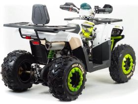 Квадроцикл MOTOLAND ATV 200 Wild Track