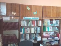 Сыртинская сельская библиотека – филиал № 23
