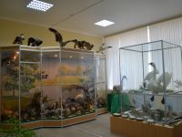 Зимовниковский краеведческий музей