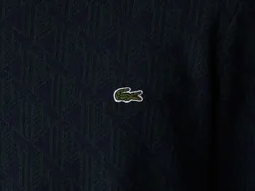 Мужской свитер Lacoste свободного кроя