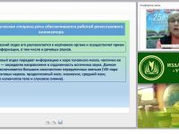 Характеристика детей с ОНР: определение, периодизация, обследование