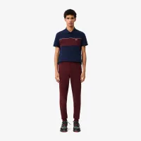 Мужские спортивные брюки Lacoste приталенного кроя
