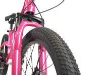 Детский велосипед Falcon Bike Mild 20, год 2024, цвет Красный