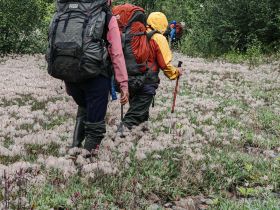 «В горах Семи Хребтов. Водопады хребта Сэттэ Дабан»