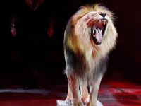 Большой Московский государственный цирк на проспекте Вернадского