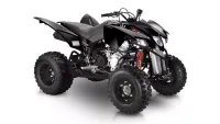 Квадроцикл EXPLORER Trasher 320