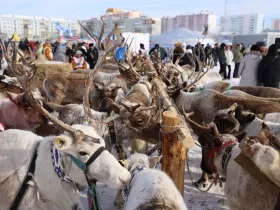 В Якутске после семилетнего перерыва проходят Игры оленеводов