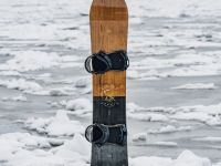 Сноуборд ARBOR ELEMENT CAMBER 20/21