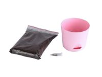 Набор для выращивания растений "Тысяча листьев", "Клубника ремонтантная"