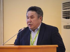 В Якутии численность оленей увеличилась до 162 тысяч голов