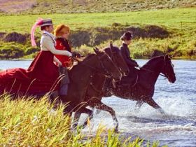 Царская охота с борзыми