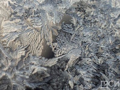 У якутского Быка холода 21 декабря вырос второй рог