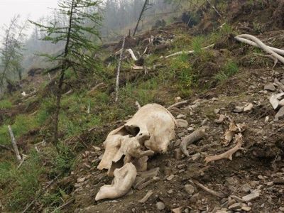 Урочищу Юнюген в Якутии присвоят статус геологического памятника природы