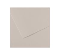 Бумага для пастели Canson "MI-TEINTES" 50x65 см 160 г №120 жемчужно-серый