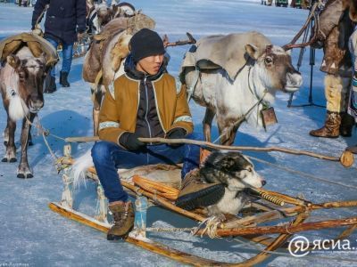 Профессиональные компетенции для оленеводов и рыбаков Арктики разработают в 2019 году