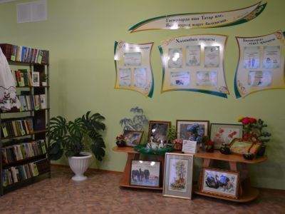 Сыйрышбашевская сельская модельная библиотека