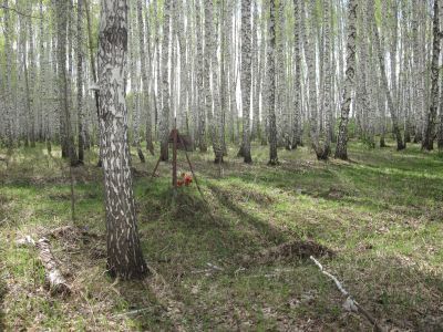 Братская могила бойцов за власть Советов, казненных колчаковцами в ноябре 1919 г.
