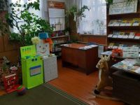 Рябинковская сельская библиотека