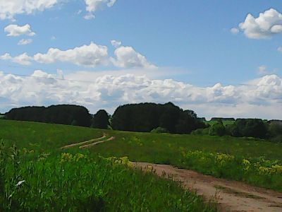 Священная роща