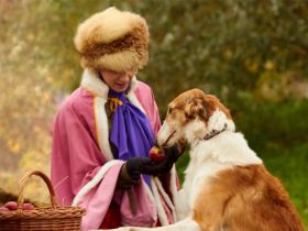 Царская охота с борзыми