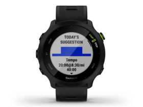 Смарт-часы Garmin Forerunner 55 42 mm (Black) (010-02562-10)