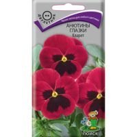 Анютины глазки Кларет