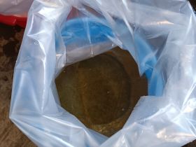 Экологи АЛРОСА открыли сезон зарыбления рек и выпустили в реку Вилюй молодь чира