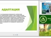 Подготовка и организация адаптационного периода при поступлении ребенка в ДОО