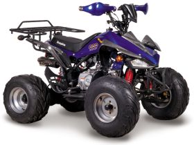 Квадроцикл ABM Scorpion 125A