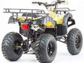 Квадроцикл STALKER 250