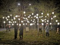 Парк культуры и отдыха г. Ноябрьска