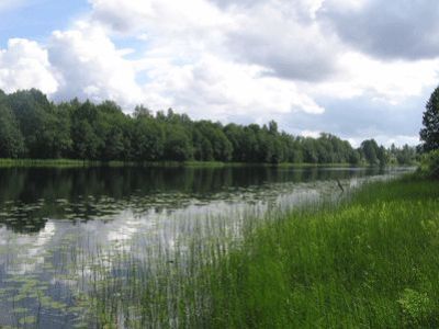 Усадебный парк