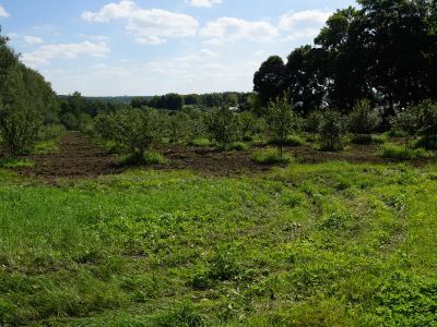 Сад за павильоном