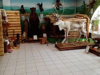 Музей истории золотодобычи Северо-Енисейского района