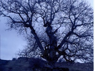 Пир-святилище