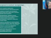 Вебинар "Развитие социально-коммуникативных навыков детей дошкольного возраста в процессе активного взаимодействия со сверстниками и взрослыми в игровой деятельности"