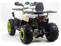 Квадроцикл MOTOLAND 140 Wild Track Lux ( Баланс. вал) (1414 Г.)