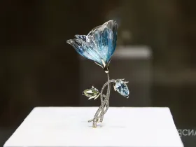 В Якутске открылась выставка Маргариты Зиминой «Цветы России»