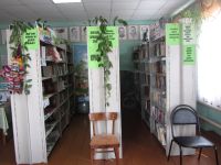 Краснокудрявский библиотечный филиал № 13