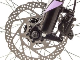 Женский велосипед Stinger Vega Evo 29, год 2021, цвет Фиолетовый, ростовка 19