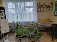 Красносельская поселенческая библиотека