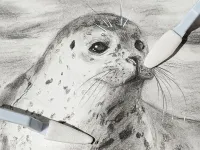 Набор художественных спонжей Малевичъ для растушевки, 12 предметов