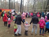 Городской парк «Дубки»