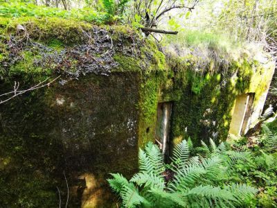 Огневая точка ДОТ № 975