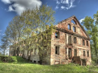 Остатки усадебного парка Петровская мыза