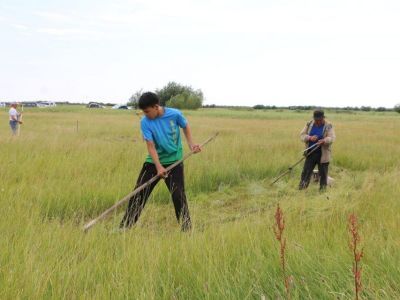 В Хангаласском улусе прошли соревнования сенокосчиков