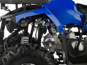 Квадроцикл TIGER Extra 175cc (2024)