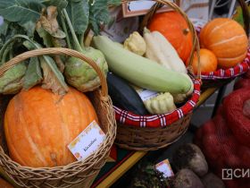 Мясо, рыба, овощи, ягоды и хлеб: в Якутске открылась ярмарка местных производителей «Продовольствие-2026»